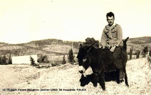 Palica - Le Telagh 044